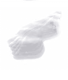 Film de protection visuelle NORTHSHIELD pour MASQUE INTÉGRAL