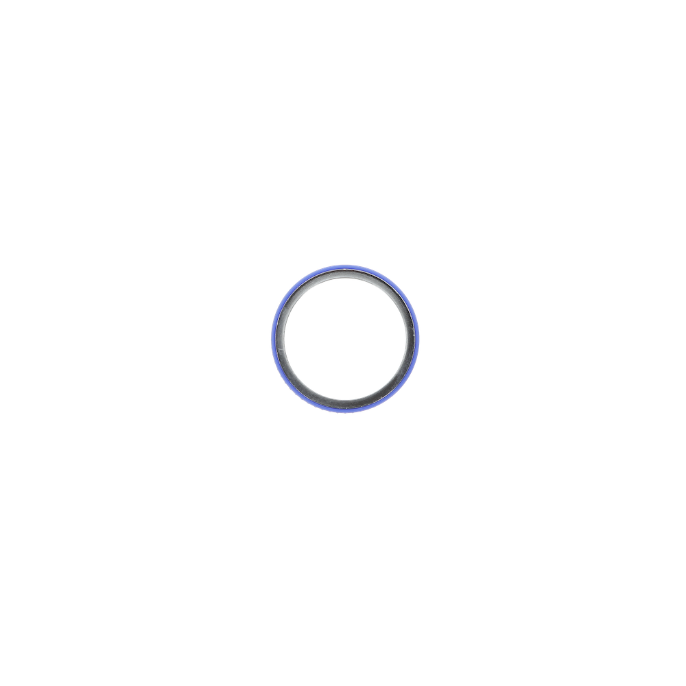 Air nozzle ring, complete SATAjet 3000 RP blue
