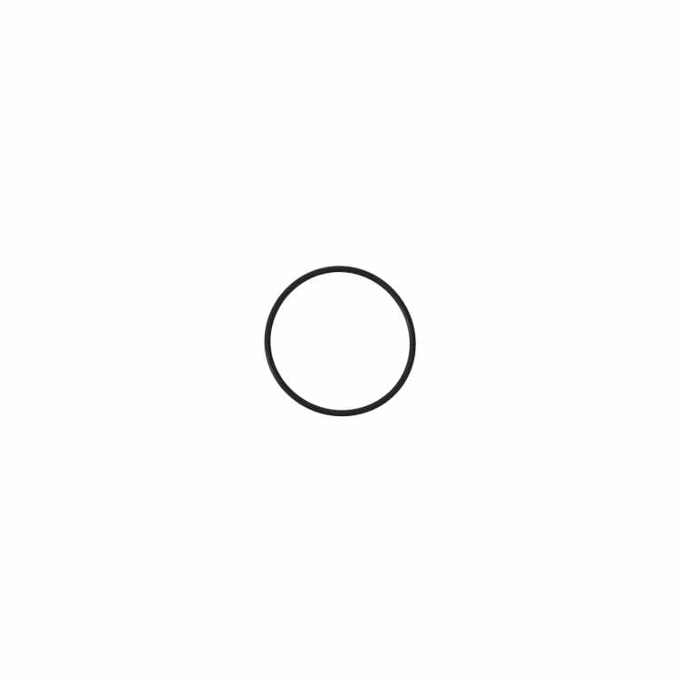 O-Ring [für SATA filter 100 er, 300er und 400er Serie]